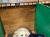 3yr old golden retriever