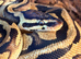 Pastel yellow belly male