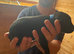 Bedlington whippet puppies
