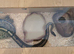 Ball Python