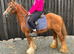 *** MOTHERS DREAM PONY ***