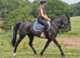 Super stunning mare