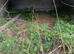 pig shelters/Animal