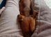 Pet sitter and dog walker
