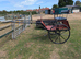 2 wheel exercise/pleasure carriage