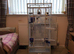 Parakeet cage in excellent condition Forfar