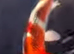 Koi