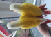 Lutino Greencheek Conures hand reared silly tame