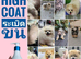 Addressing coat and skin issues across all dog breeds—particularly coat problems in Pomeranians—with a 100% effective treatment rate.