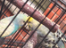 Burdgies
