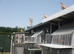 Meuleman Young Birds For Sale