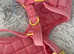 Regal dog small harness set