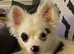 6 month male rehome
