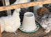 Pol hybrids available