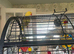 Yellow female Indian Ringneck