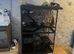 2 rats and large cage