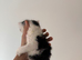 kitten