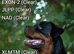 Beautiful rottweiler puppies ready to reserve