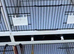 2 rows of 5 breeding cages