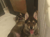 2 beautiful girls left