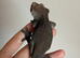Visual axanthic female crested gecko