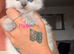 Purebred Blue Point & Blue Mitted Ragdoll