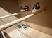 7 Male Zebra Finches