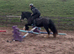 13.3 Childs pony/ ride and drive