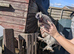 Chicken for sale