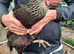 Various Chicks and Ducklings