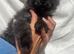 Maine coon black/smoke males