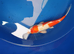 koi carp High Grade hand picked
