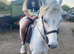 !! Horses for loan !!