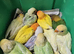 6 week old tamed love birds