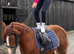 *** MOTHERS DREAM PONY ***