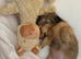 Miniature Longhaired Dachshund