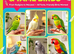 ALL HAND REARED & TAME COCKATIELS WANTED