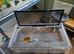 Terrarium x 2 for sale