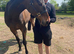 ! 16.2 DESSAGE/ ALLROUNDER!