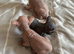 Stunning Sphynx & Dwelf kittens