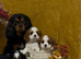 3 Boys & 1 Girl