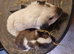 2 bonded boys