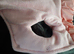 BABY PINK WARM DOG COAT SMALL SIZE AVAILABLE WITH A MATCHING PINK HARNESS AND LEAD SET FOR JUST &pound;40 ono FOR ALL