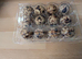 Fertile Italian Quail Hatching Egg's