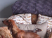 GORGEOUS EXTREMELY LOVING 4 YEAR OLD RED TRUE MINI SMOOTH GIRLIE.