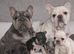 Beautiful bundles of joy