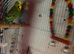 2 budgies