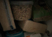 Female hamster and more