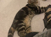 Oscar