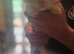 Half maincoon kittens forsale